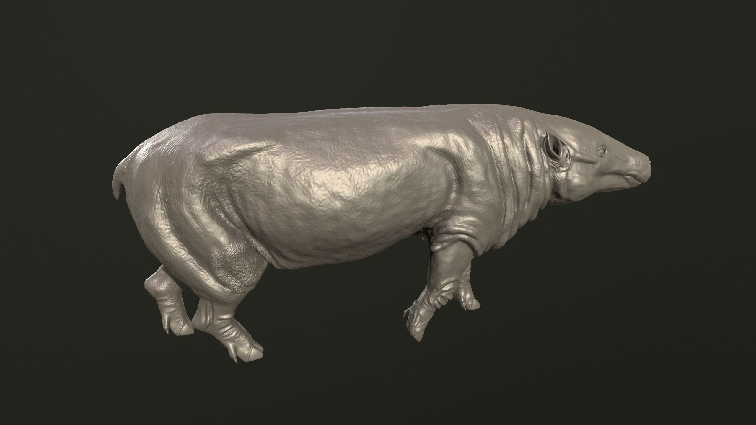 Anthracotherium magnum 3D print model_5