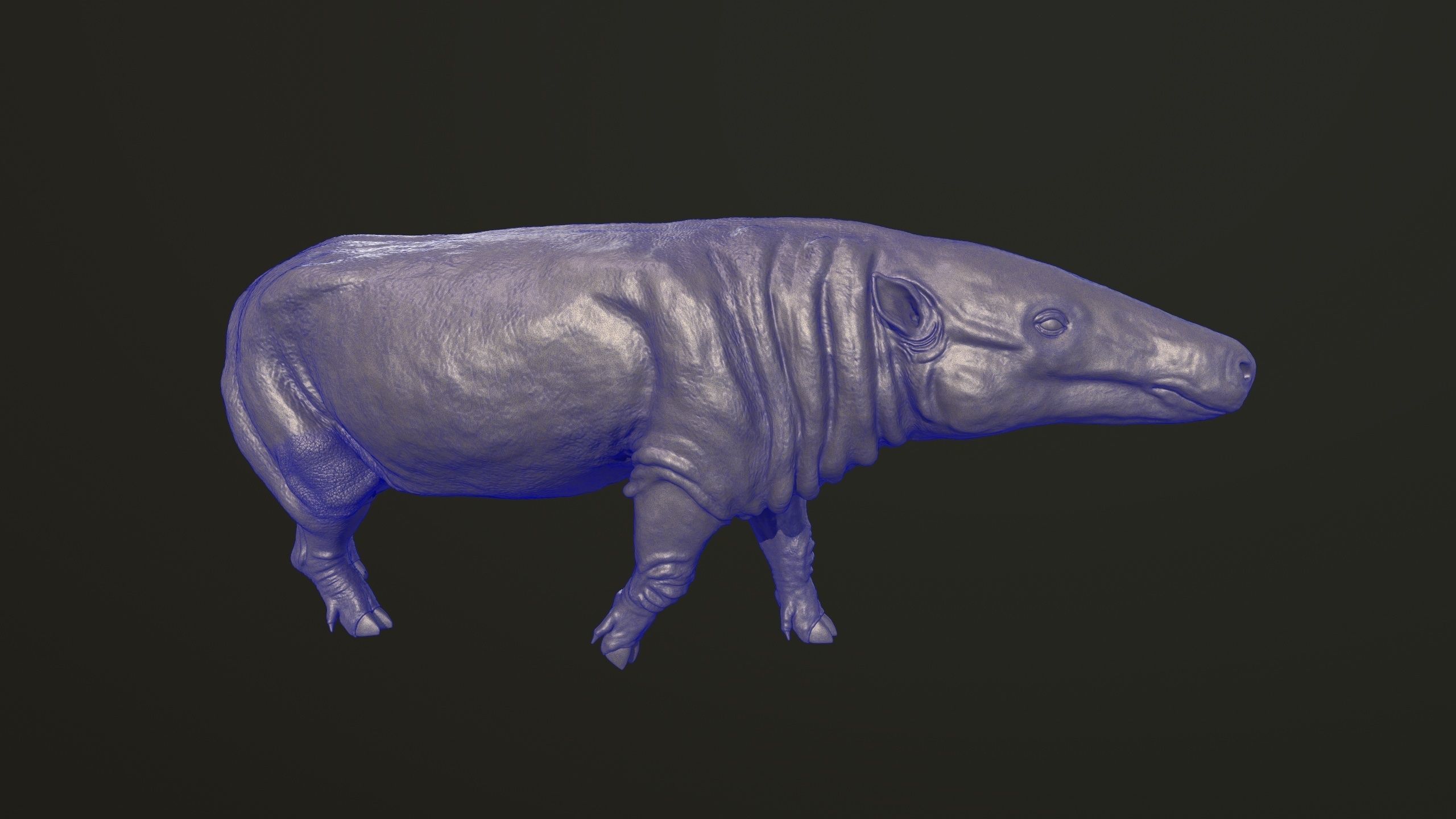 Anthracotherium magnum 3D print model_6