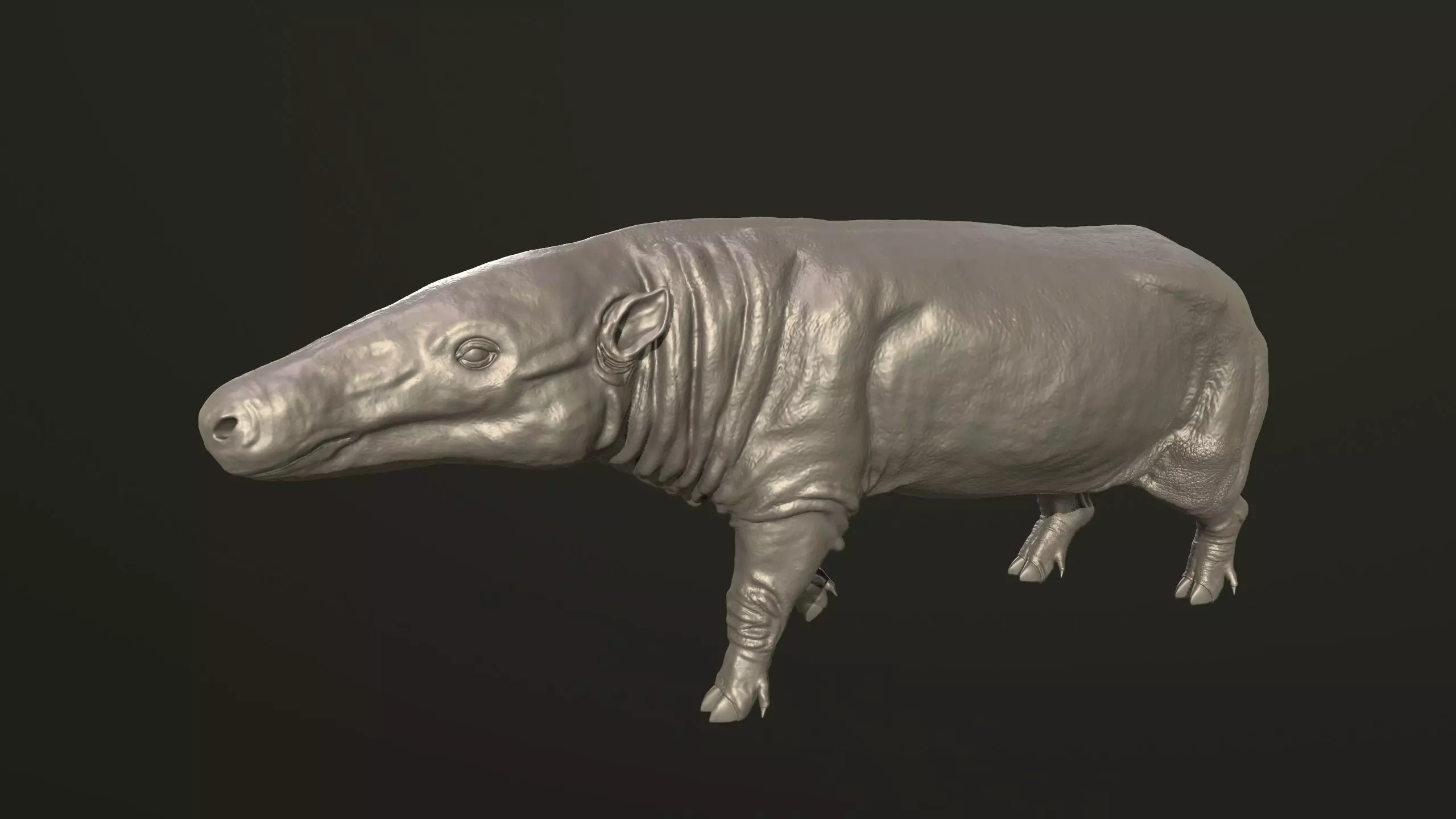 Anthracotherium magnum 3D print model_0