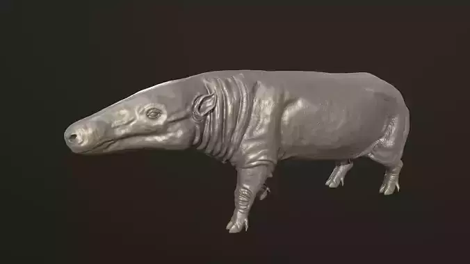 Anthracotherium magnum