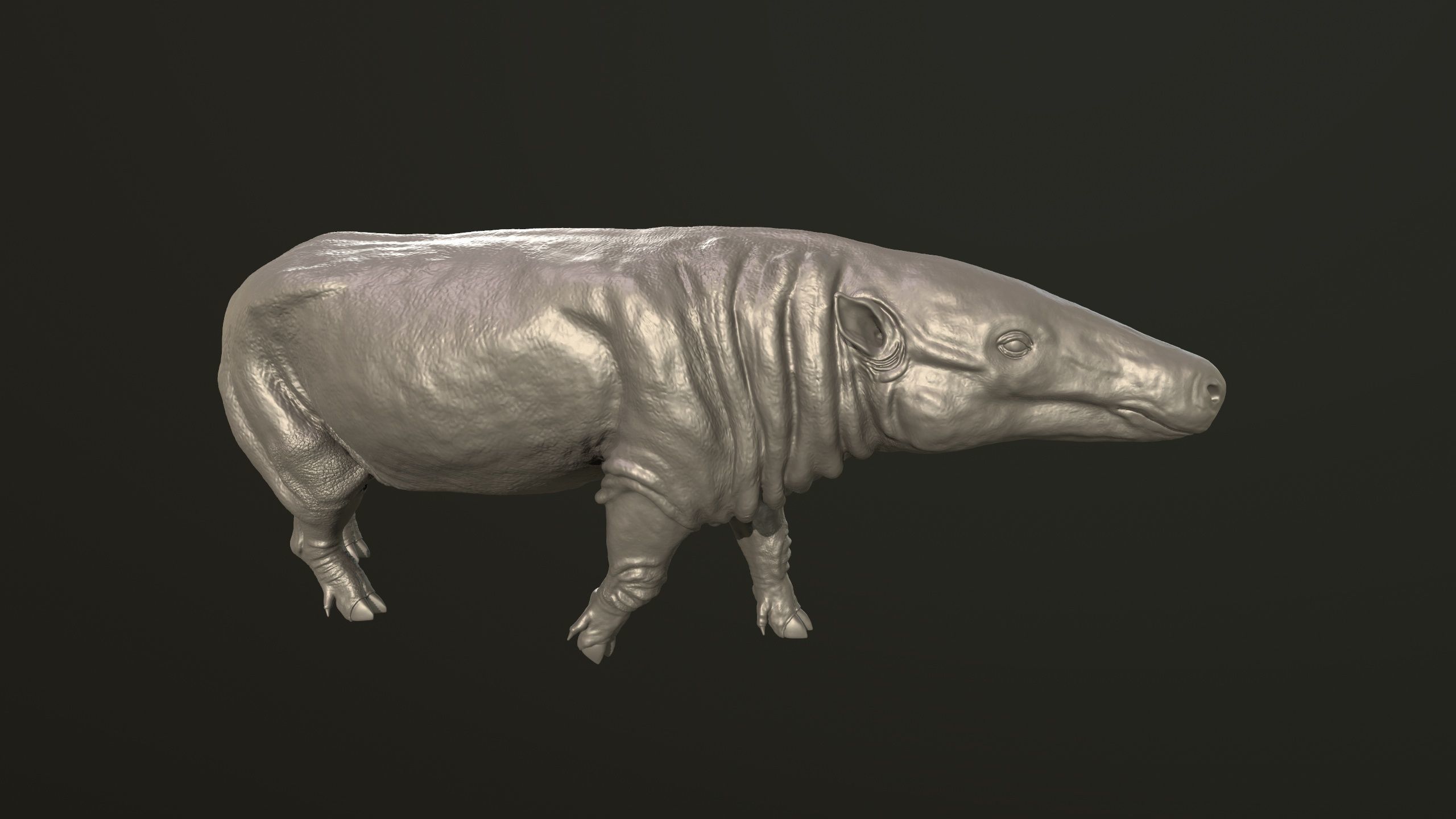 Anthracotherium magnum 3D print model_4