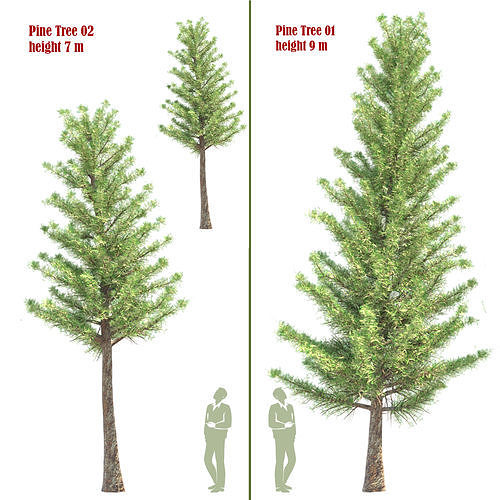 Pine Tree set 01 3D model