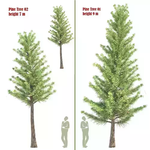 Pine Tree set 01 3D model