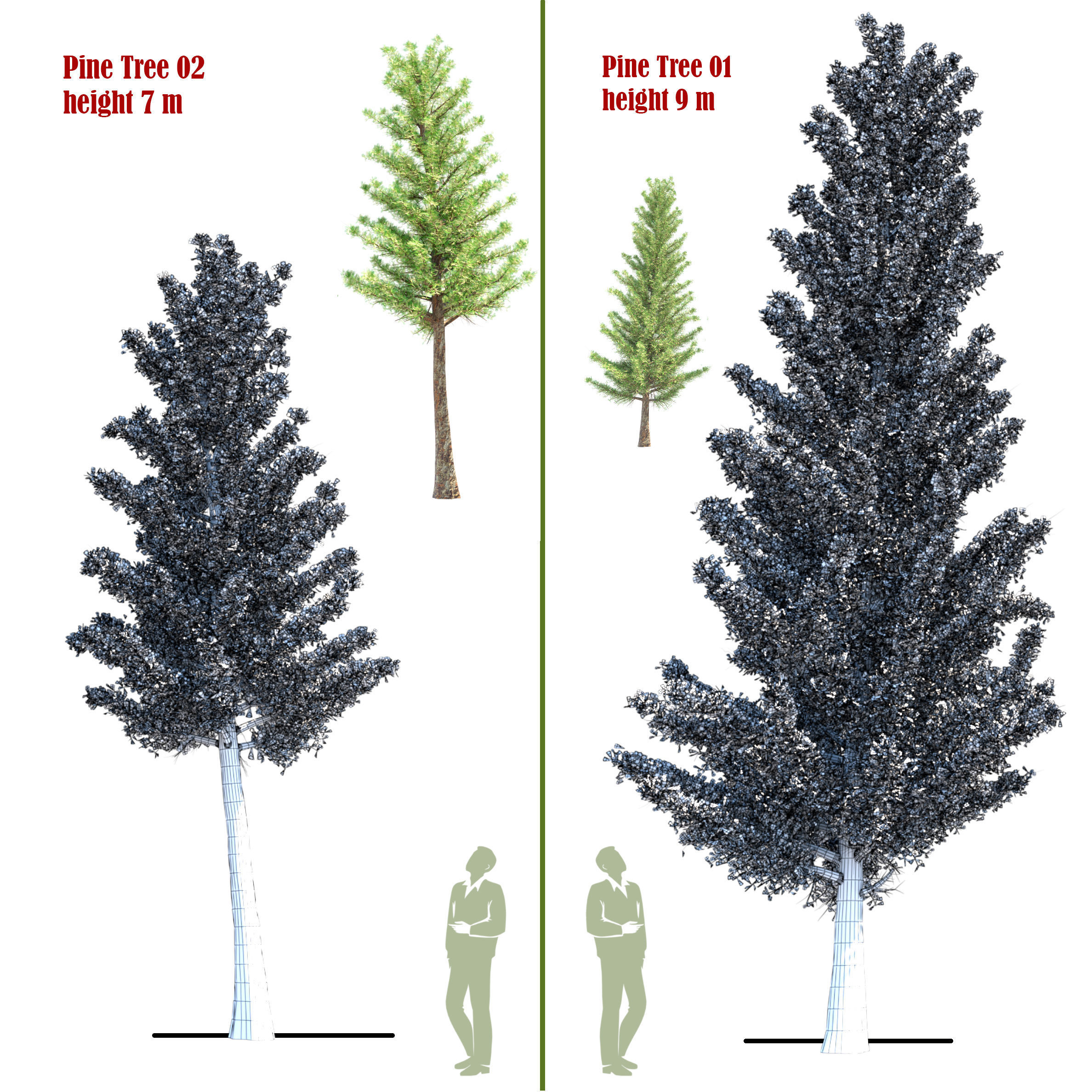 Pine Tree set 01 3D model_2