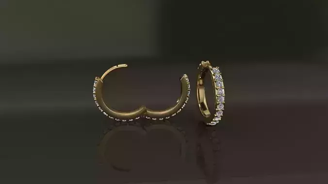 Earring Double Sided Diamond Hoop Mid Size 11mm Inside Diameter