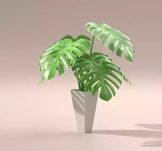 High-poly Monstera Plant