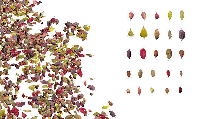 Autumn Leaves set 3D model