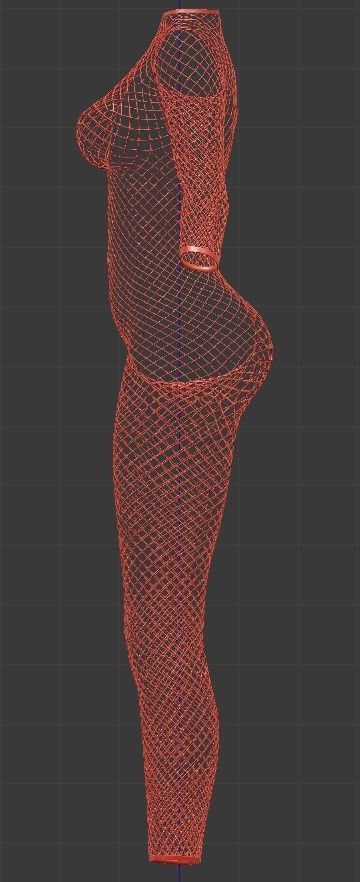 Fishnet Bodysuit 3D model_3
