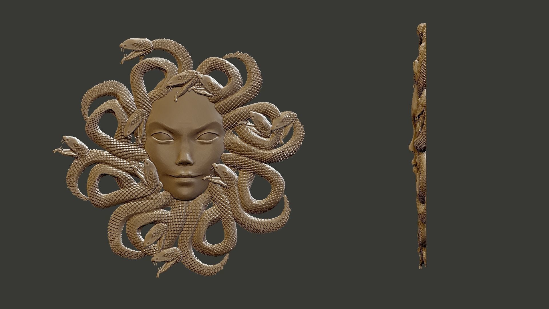 medusagirl medusa head with snakes 3D print model_2