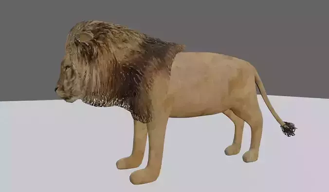 Lion - Leao Low-poly 3D model