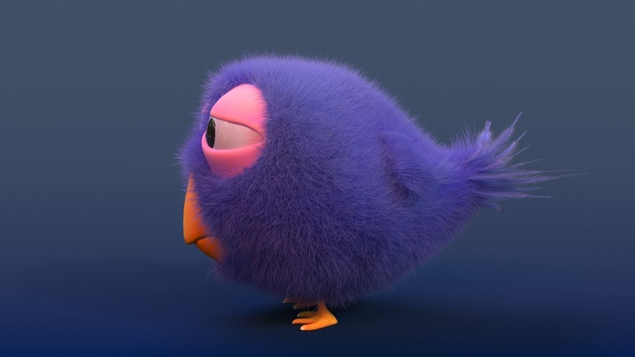 Fluffy bird 3D model_3
