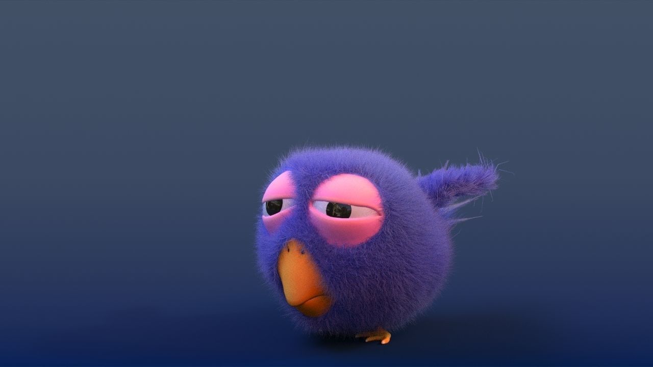 Fluffy bird 3D model_4