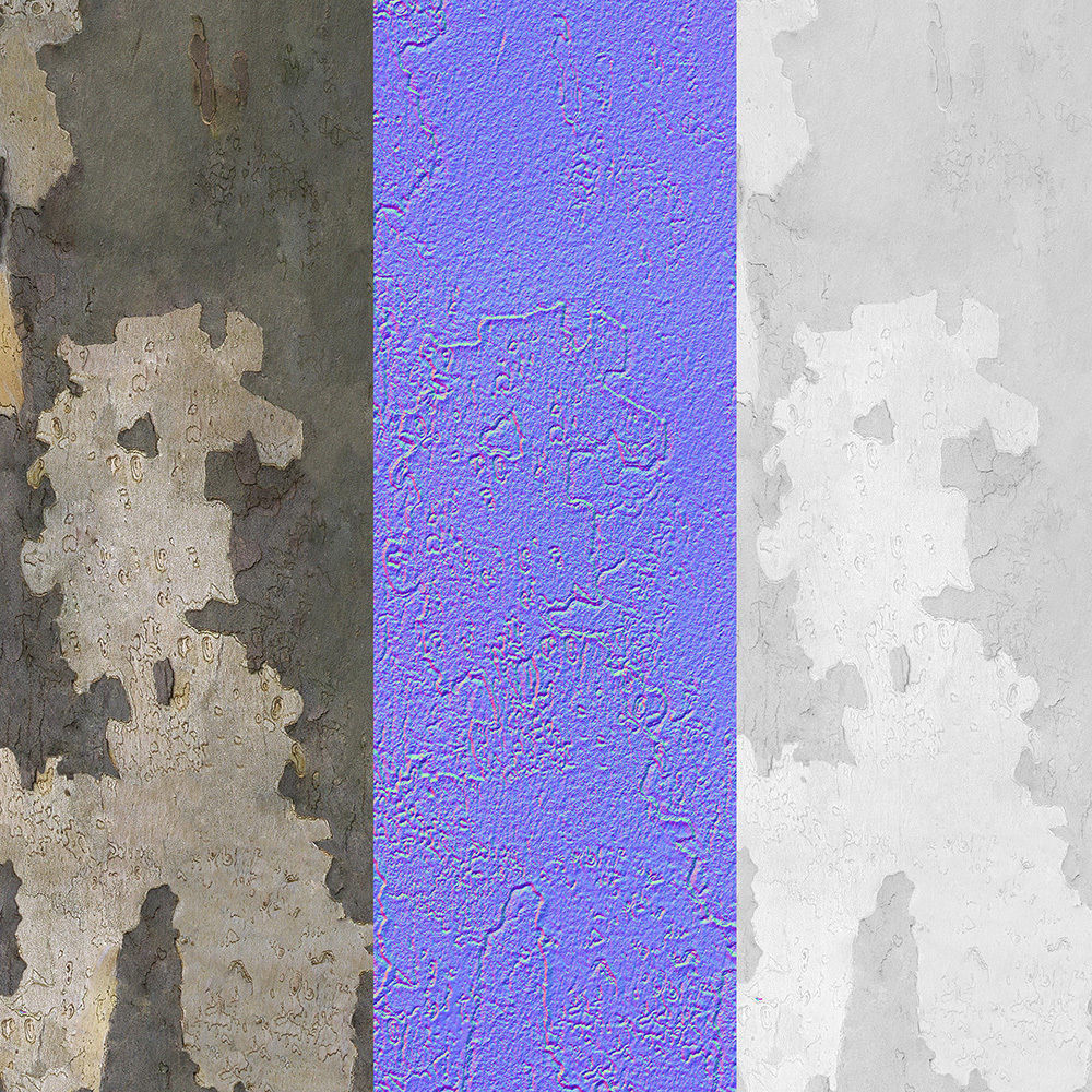 Platanus x hispanica 301SU V2 3D model_15