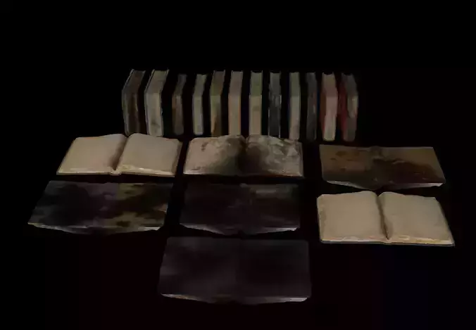 Old Books And Burned Books Pack