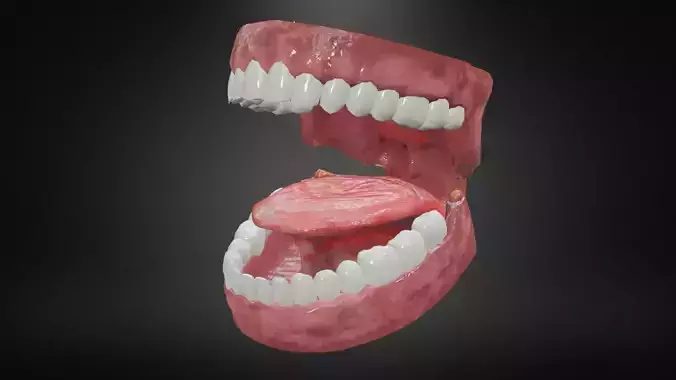 Teeth and Tongue