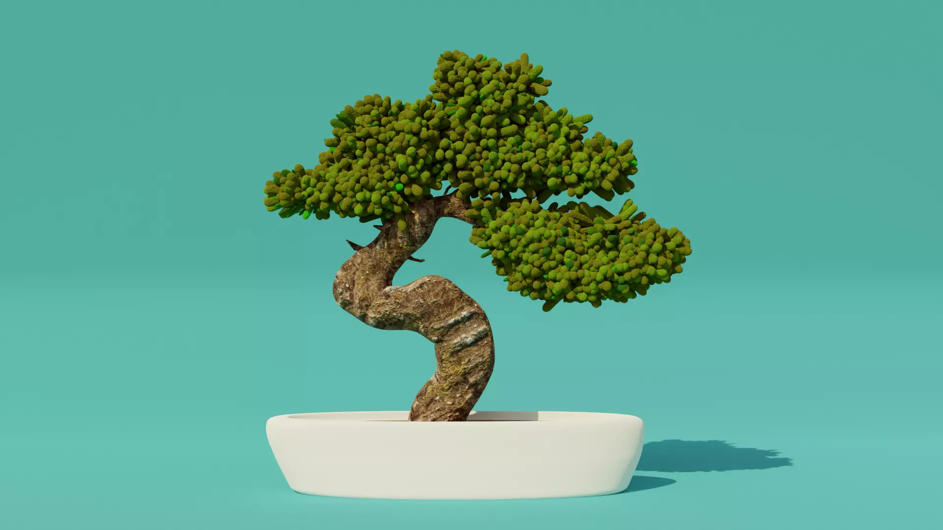 bonsai tree Free 3D model