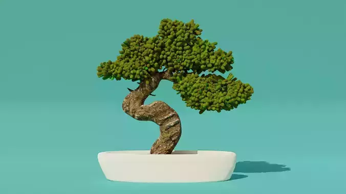 bonsai tree Free 3D model