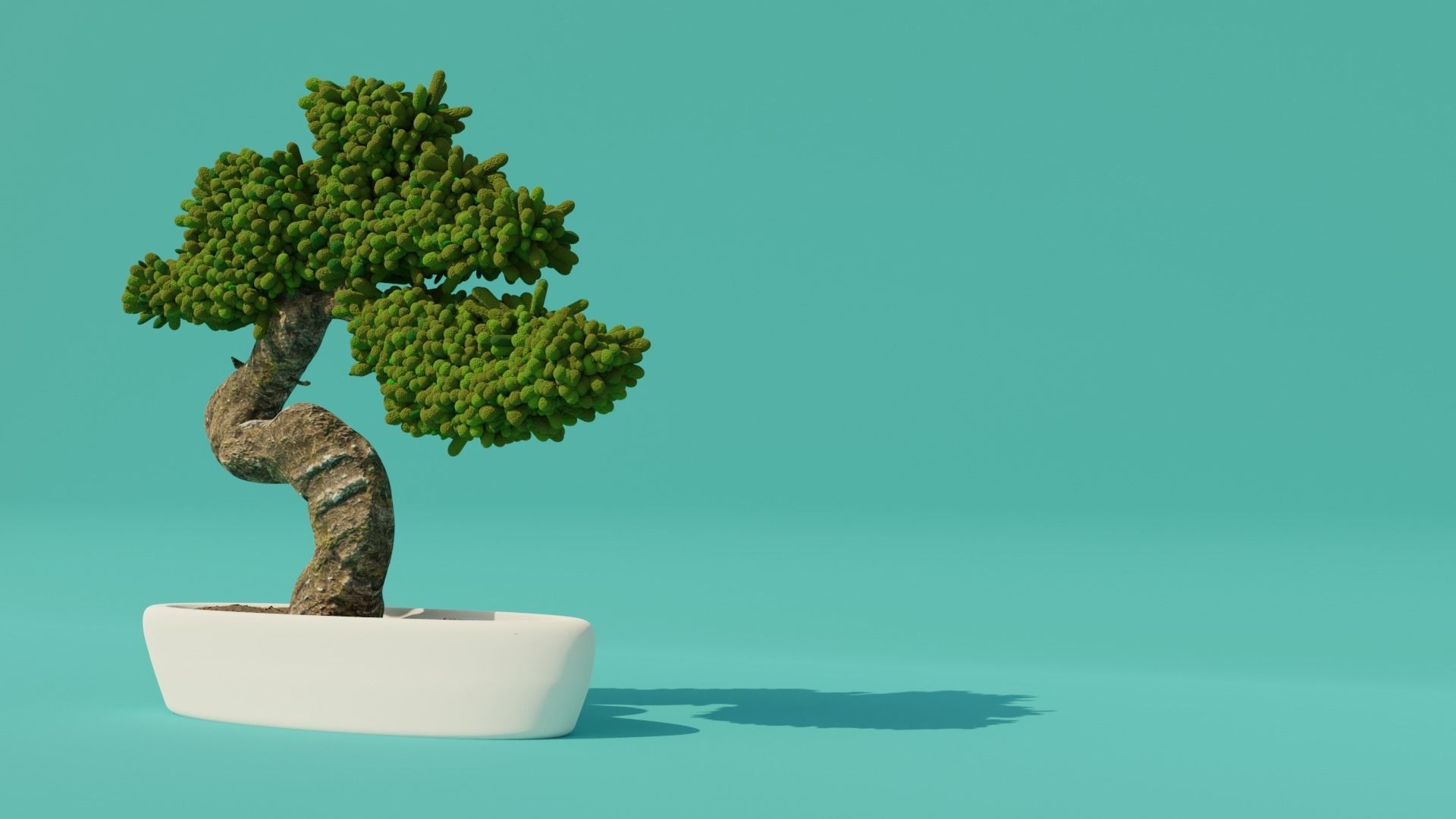 bonsai tree free 3D model | CGTrader