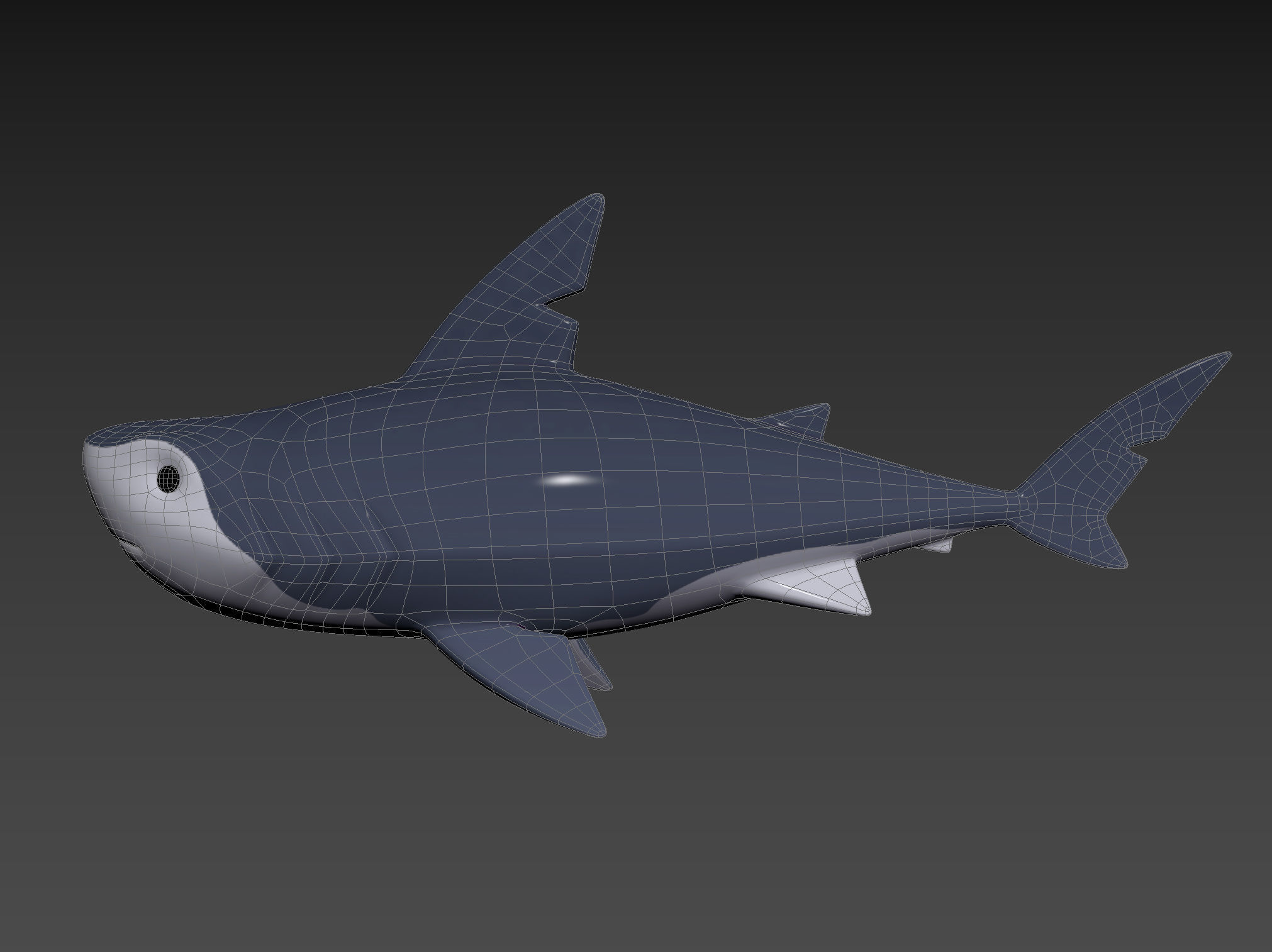 Character073 Shark 3D model_22