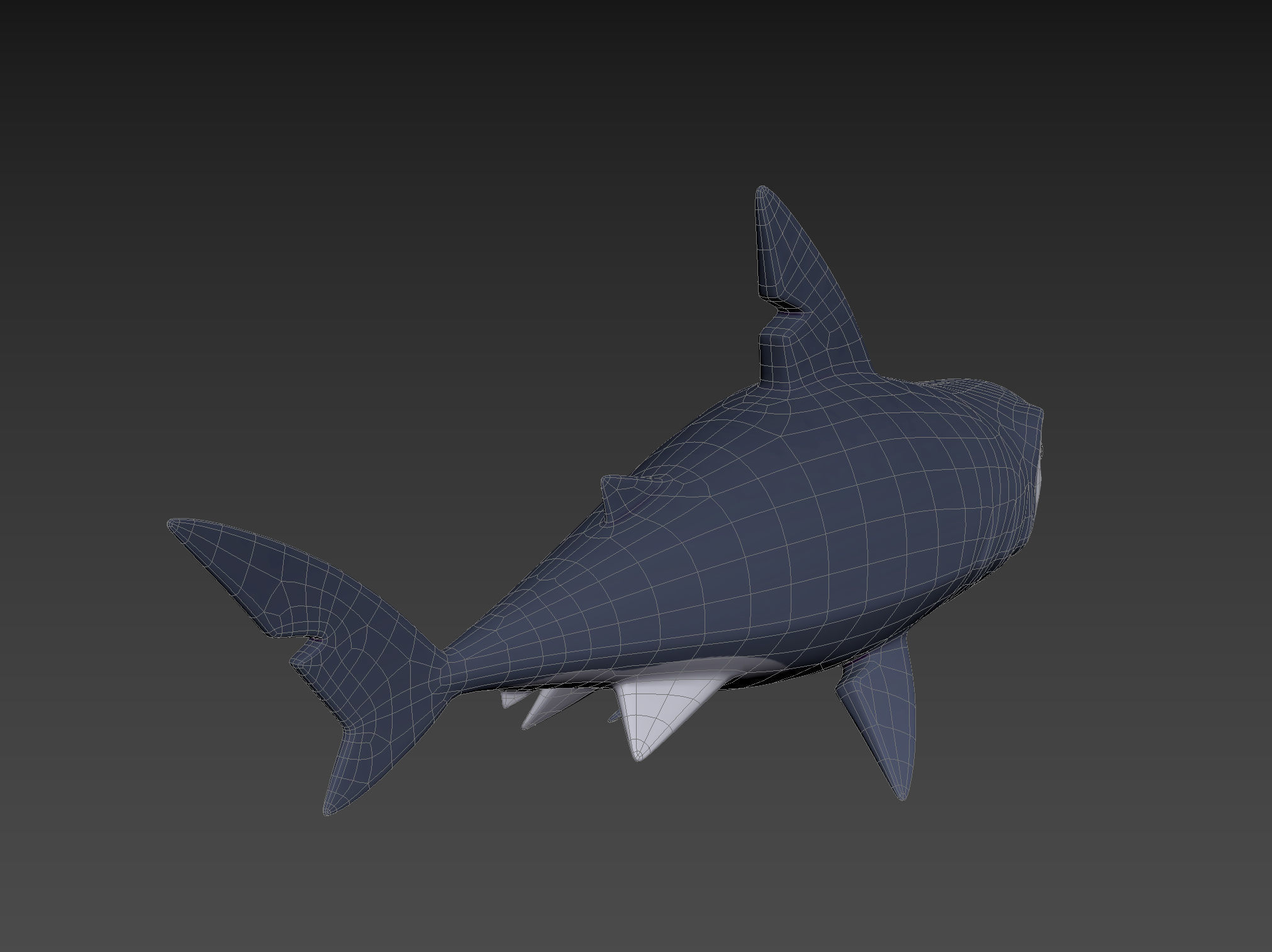 Character073 Shark 3D model_18