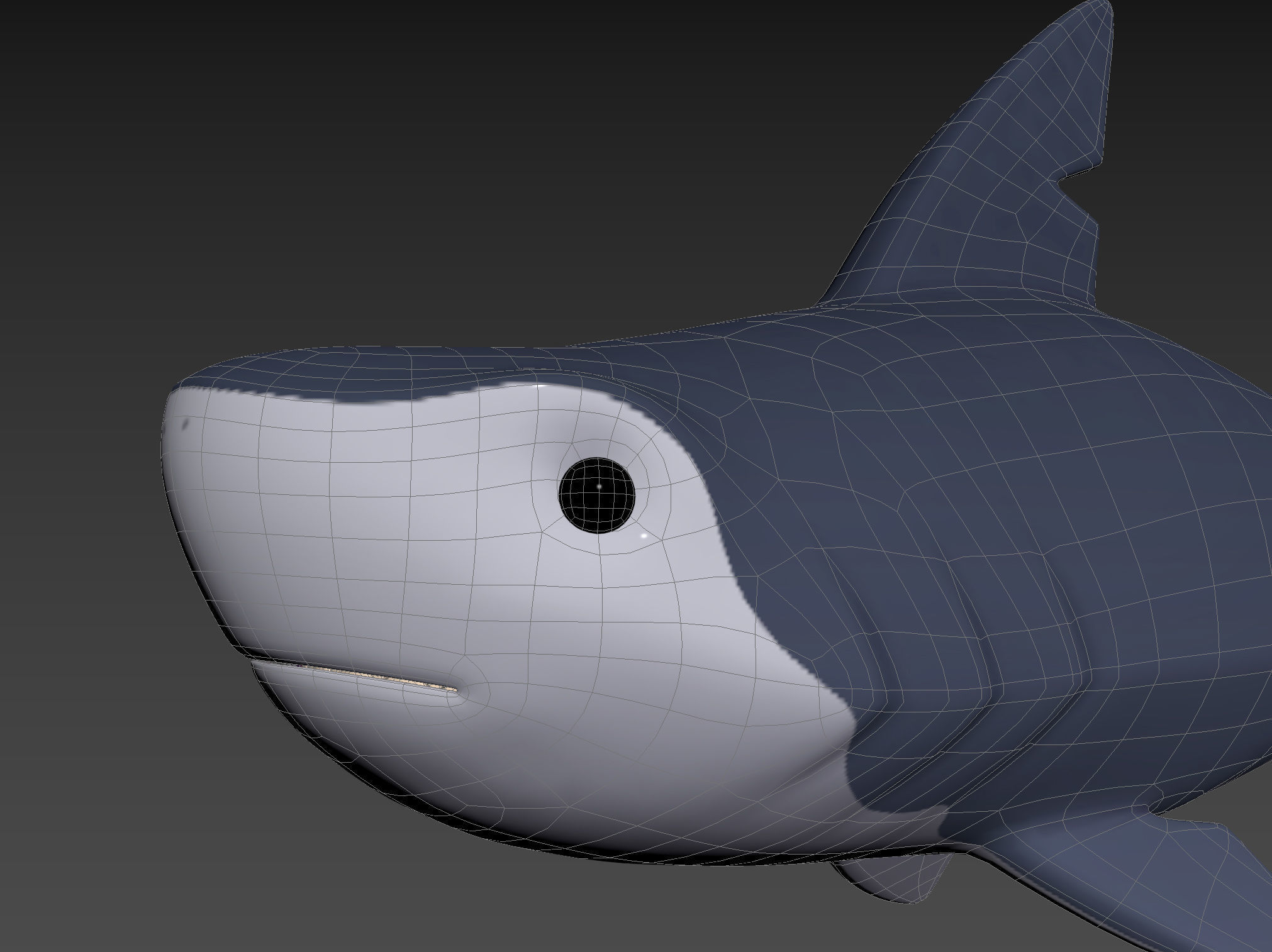 Character073 Shark 3D model_23
