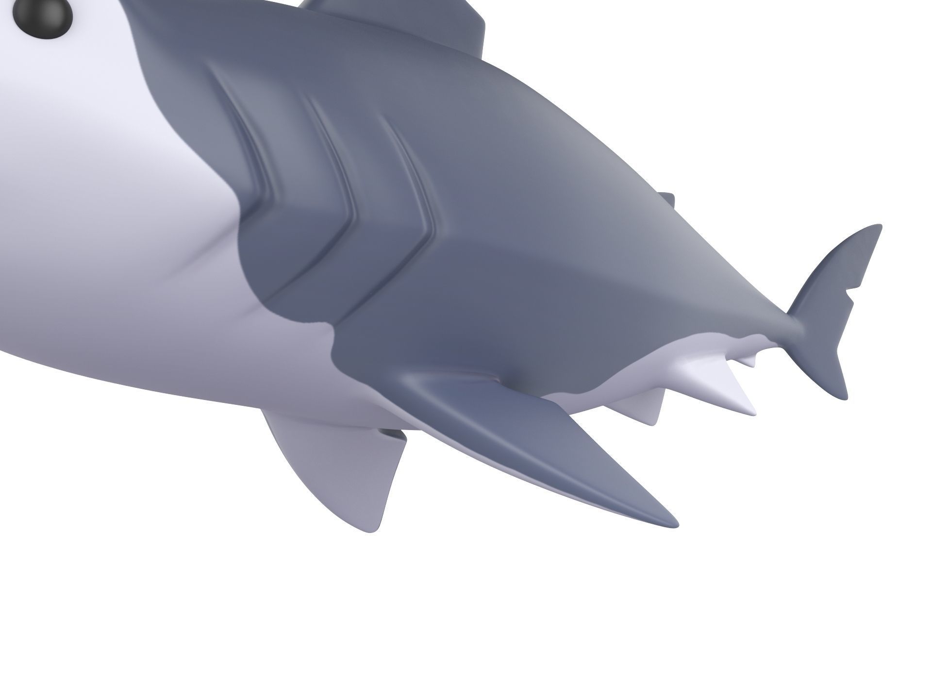 Character073 Shark 3D model_9