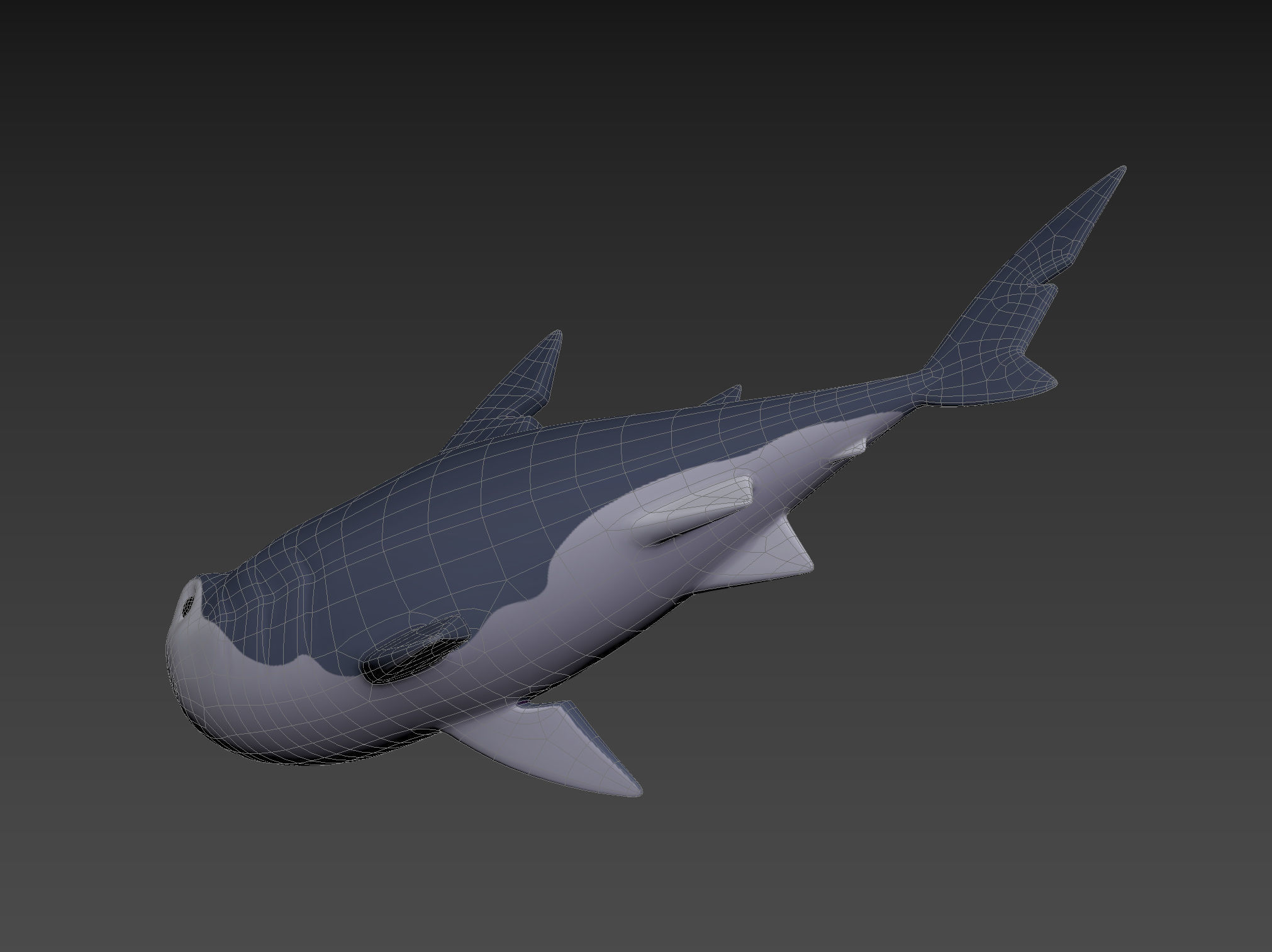 Character073 Shark 3D model_21