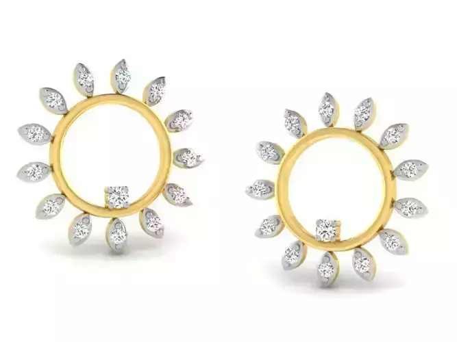 Women round earrings 3dm render detail