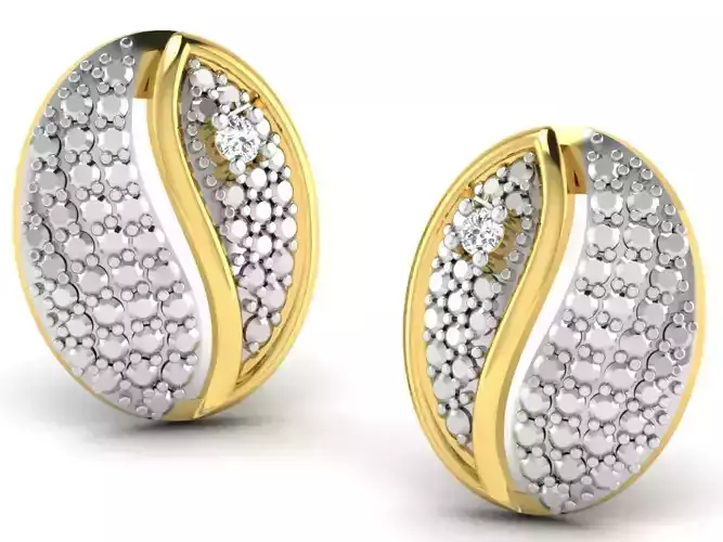 Women round earrings 3dm render detail