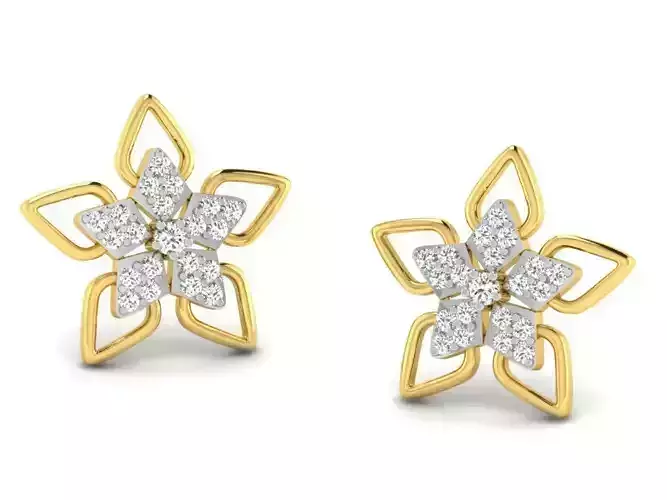 Women star earrings 3dm render detail