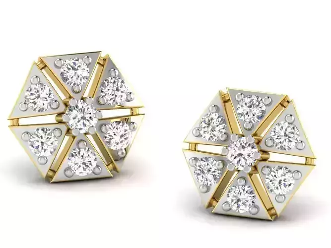 Women round earrings 3dm render detail