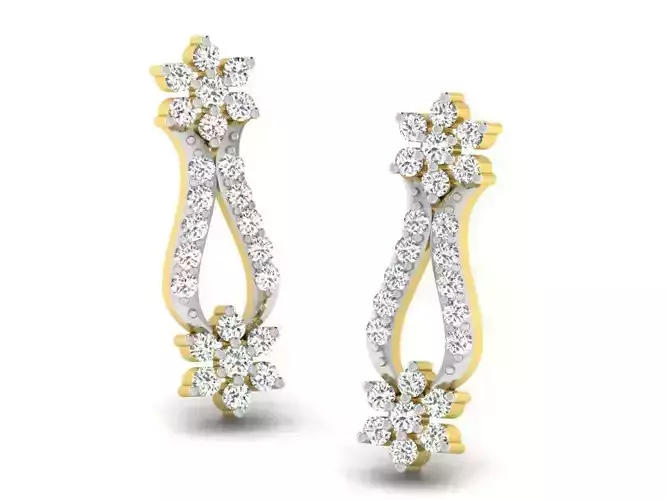 Women earrings 3dm render detail