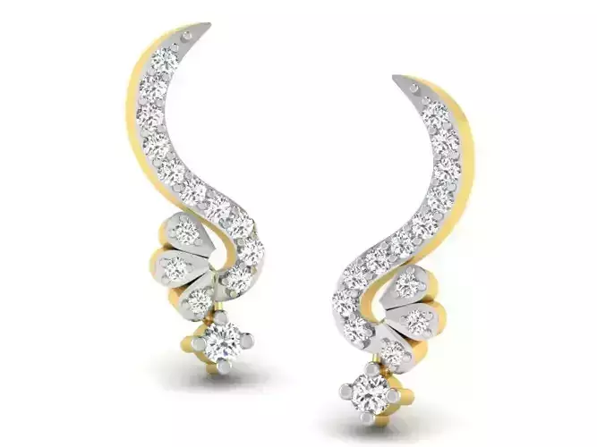 Women earrings 3dm render detail