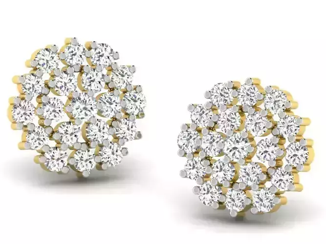 Women round earrings 3dm render detail