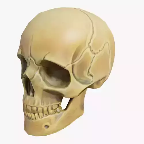 Skull Low Poly -Blender
