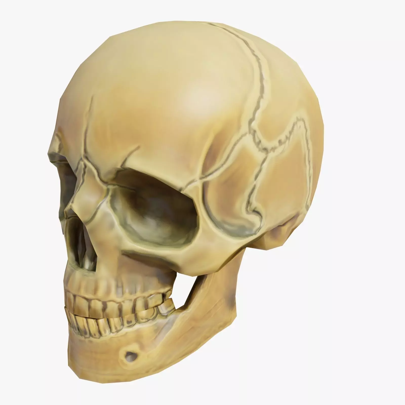 Skull Low Poly -Blender Low-poly 3D model