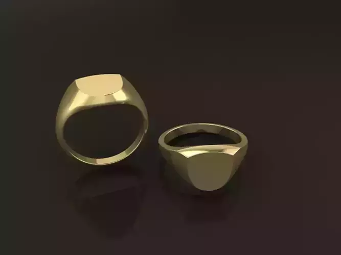 Signet Shield Ring Band Mix Size 5 6 7 8 9 10