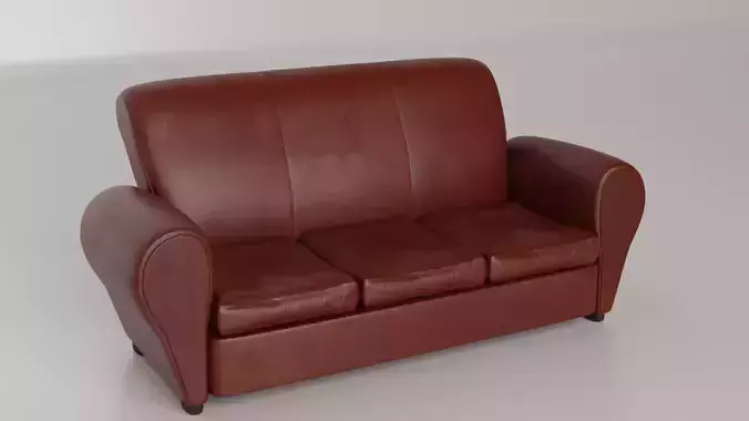 Couch leather sofa