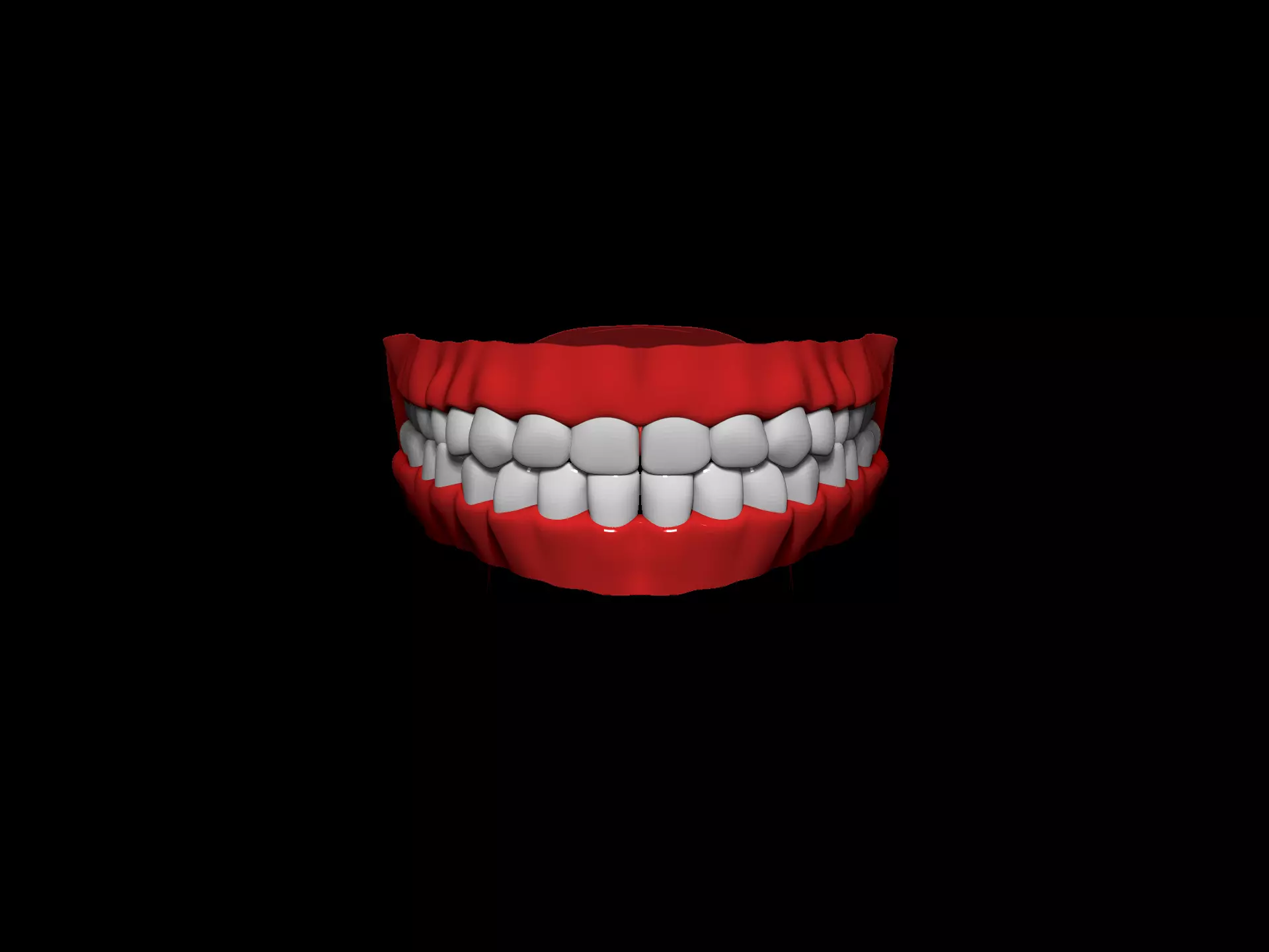 Dentition teeth 3D model_0