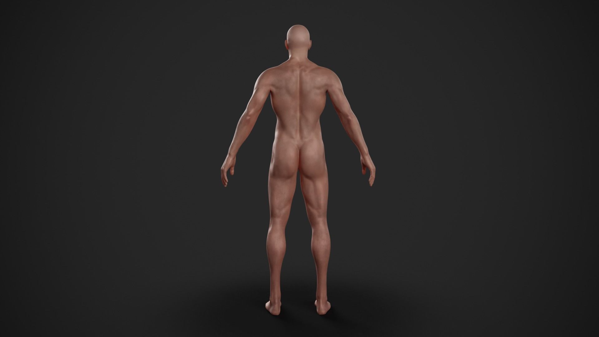 Rigged Textured Male Basemesh Low-poly 3D model_4