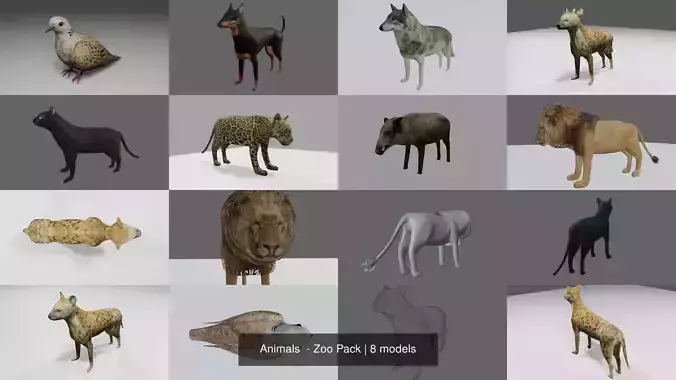 Animals  - Zoo Pack 3D Model Collection