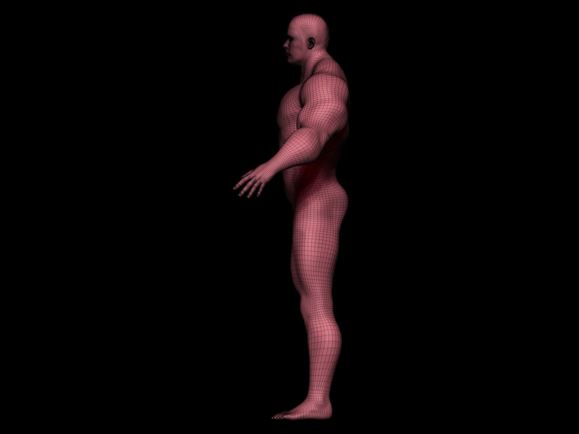 Mesh base strong caucasian man 3D model_2