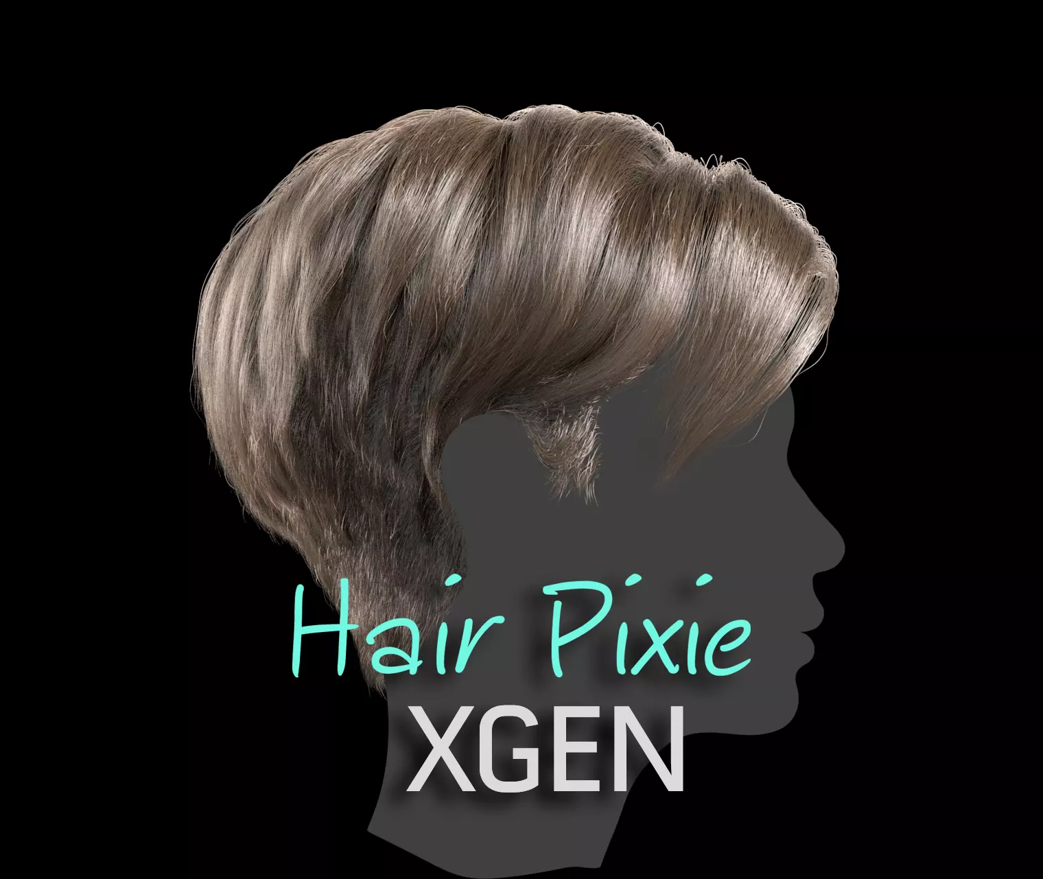 Hair Pixie 3D model