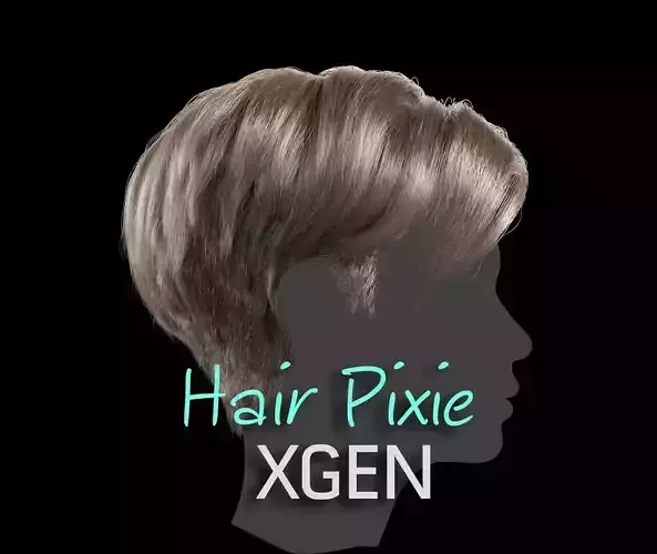 Hair Pixie | 3D model - 3D model önizlemesi