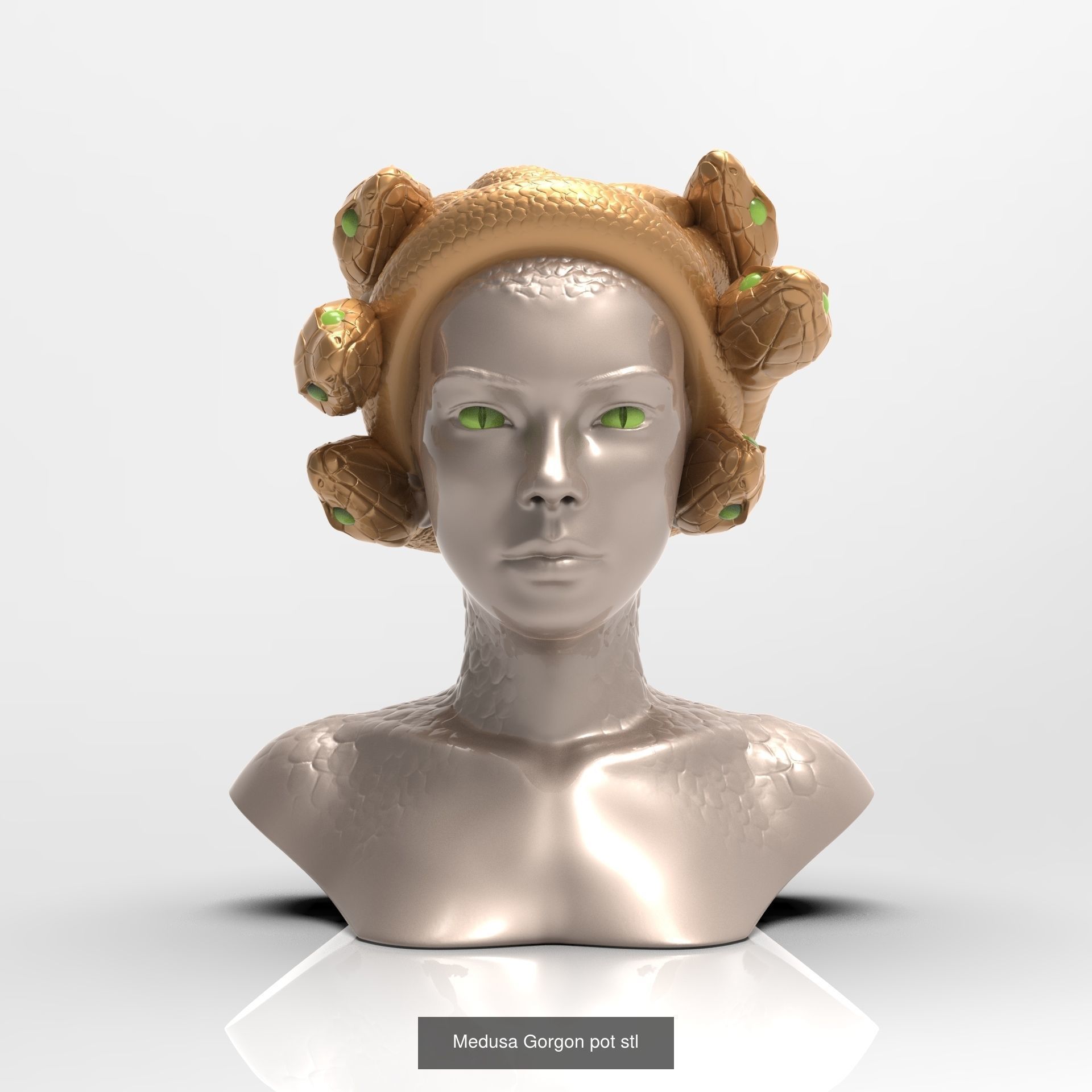 Big head planter collection _1