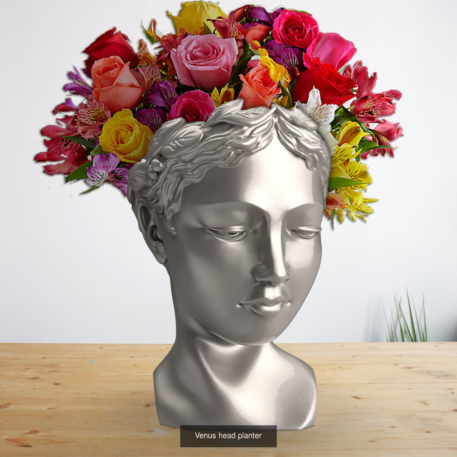 Big head planter collection _6
