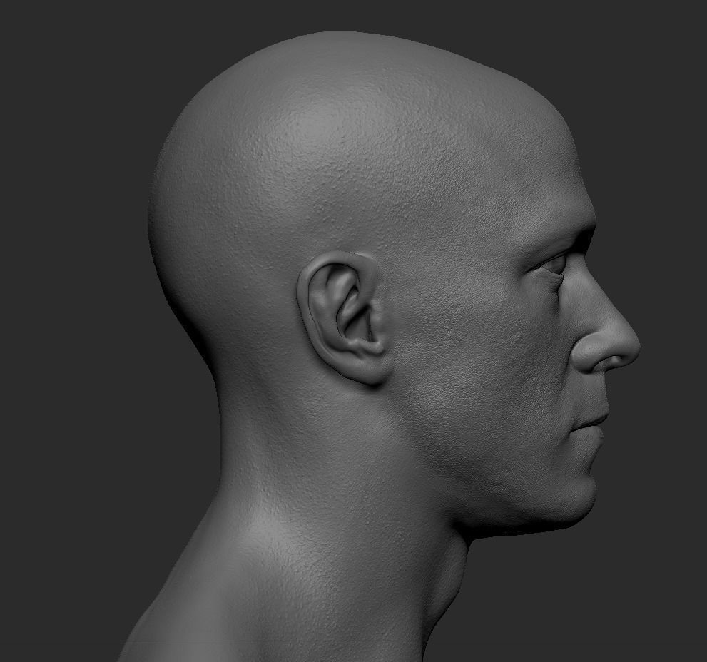 White Male Head Anatomy 3D model_3
