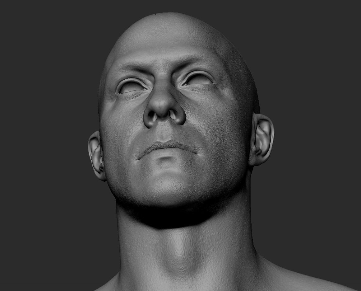 White Male Head Anatomy 3D model_8