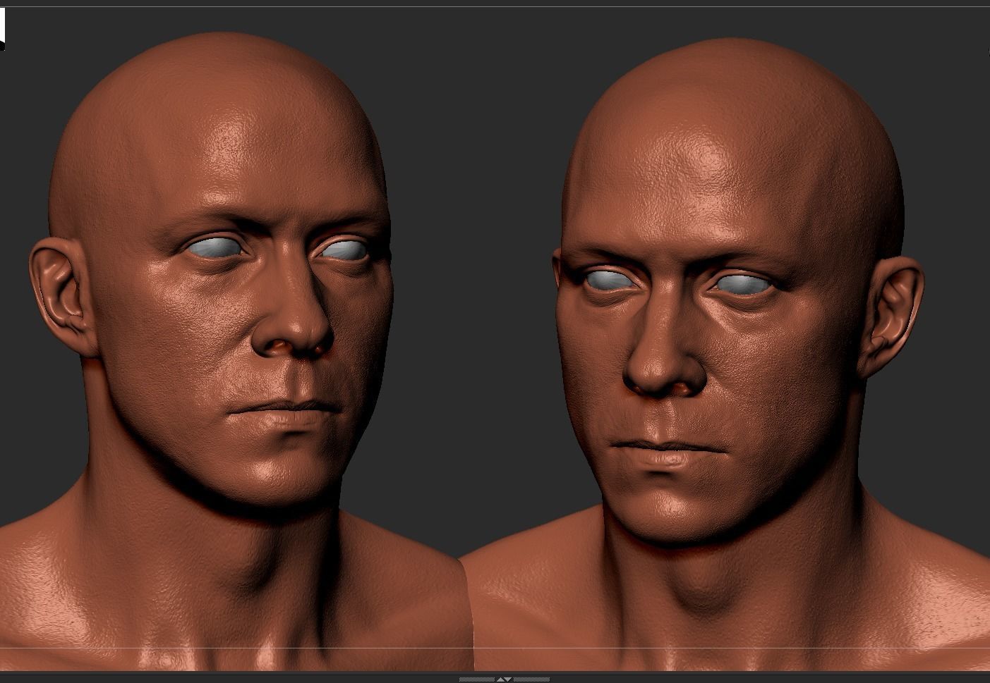 White Male Head Anatomy 3D model_11