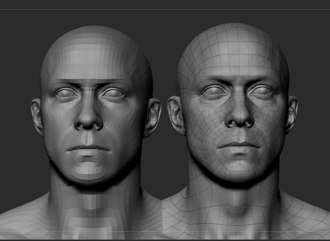 White Male Head Anatomy 3D model_7